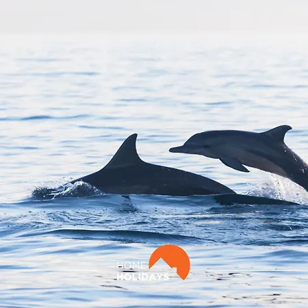 Lägenhet #025 Charming 3br *